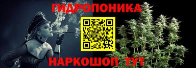 мяу мяу мука Нальчик