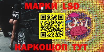 мяу мяу мука Нальчик